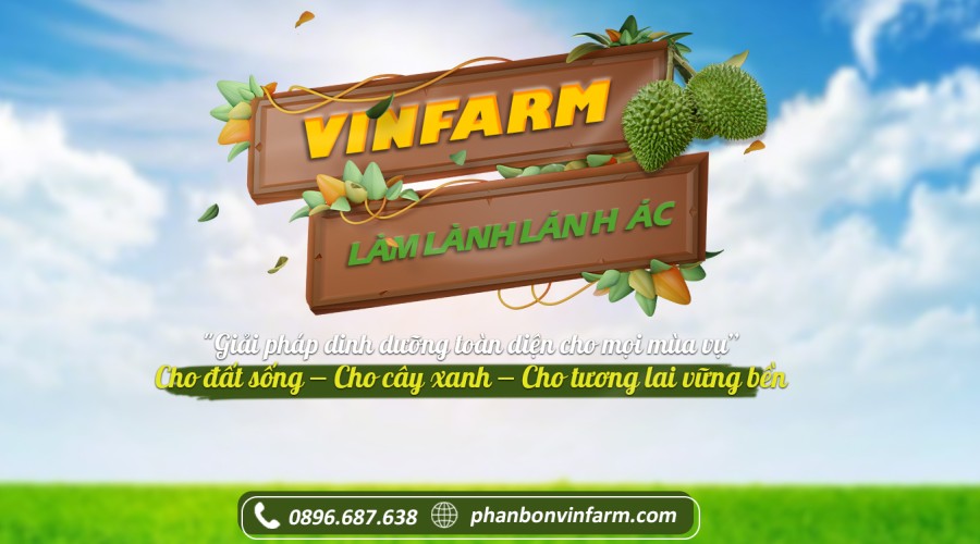 vinfarm