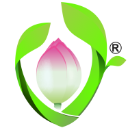 Test 6