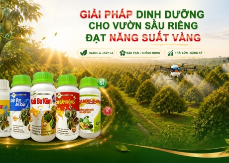 test 4