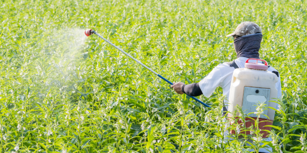 THUỐC BẢO VỆ THỰC VẬT